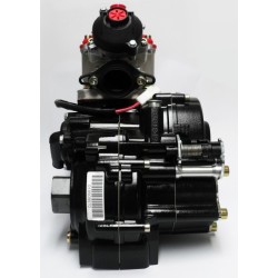 Rotax DD2 Evo rå motor