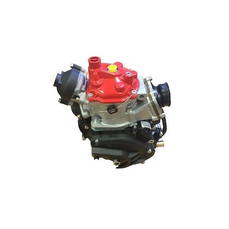 Rotax Senior Evo "rå" motor