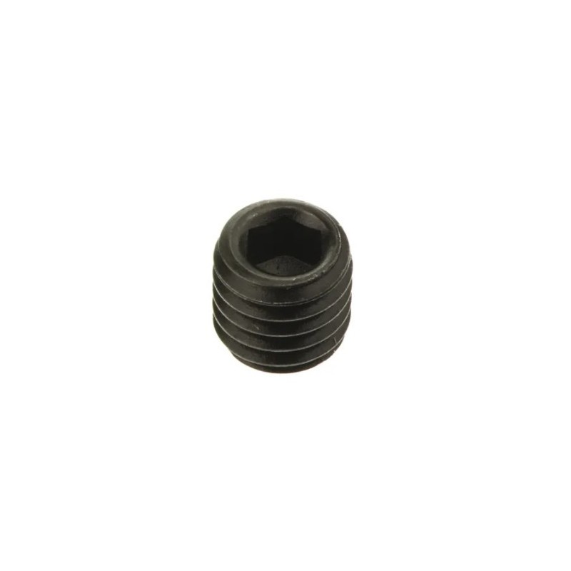 Pinolskrue til leje i bagaksel M6 x 6mm
