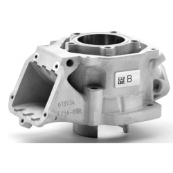 2017-rotax-dd2-cylinder-3d-stobeform