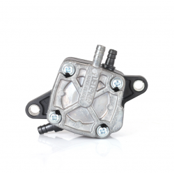 Dellorto benzinpumpe, Rotax Max og DD2