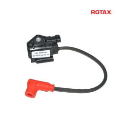 rotax-max-evo-taendspole